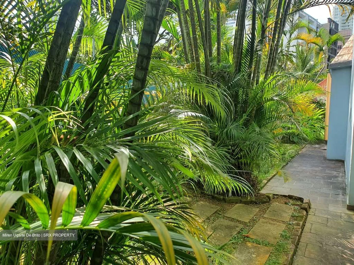 Brentwood (D9), Terrace #537504981